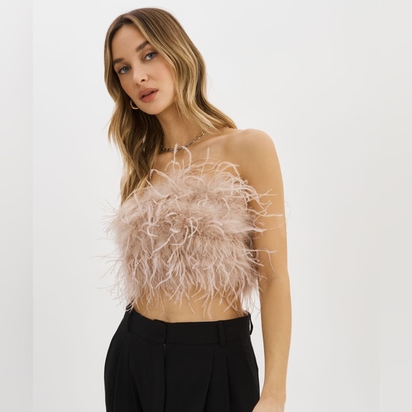 LAMARQUE Zania Top ($295) Feather Bustier tan/nude - LIKE NEW - size medium - Picture 3 of 14